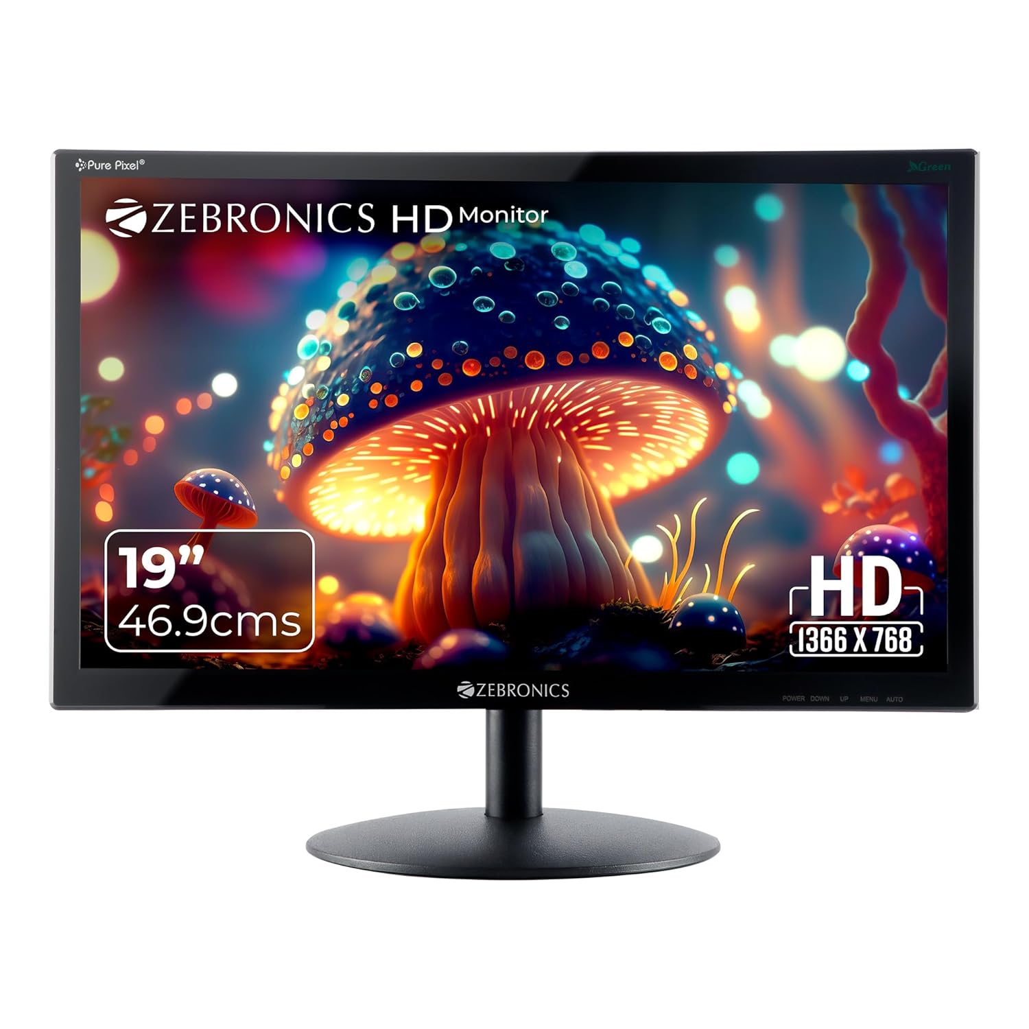 ZEBRONICS Zeb-V19Hd